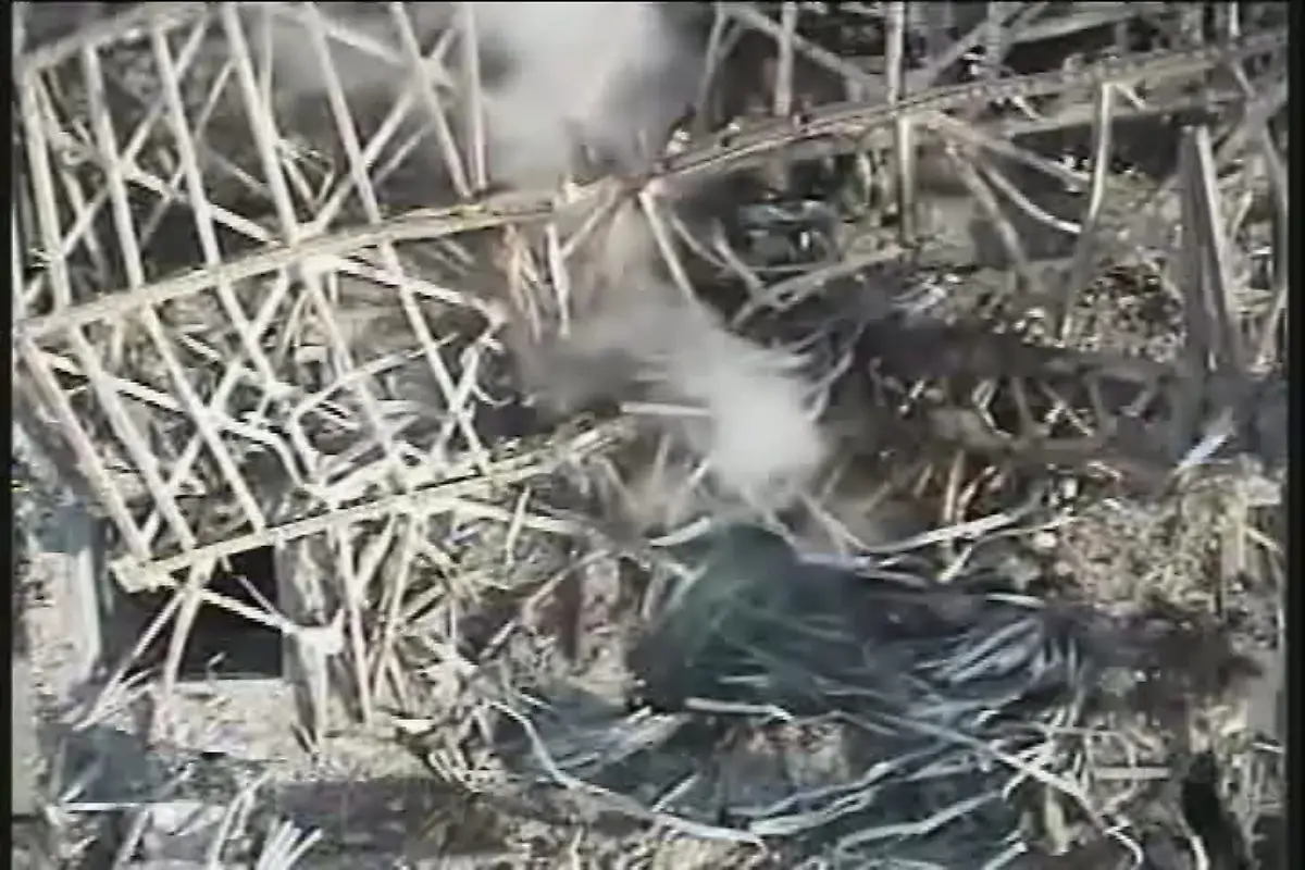 2xcv2506-jpg6560582218454110467