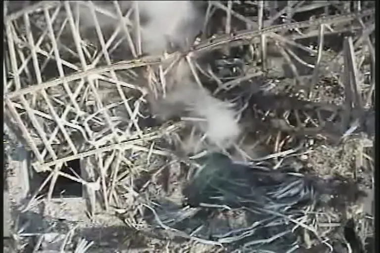 2xcv2506-jpg6560582218454110467