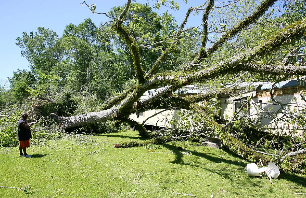 2xcn0244-jpg9195562243835035025