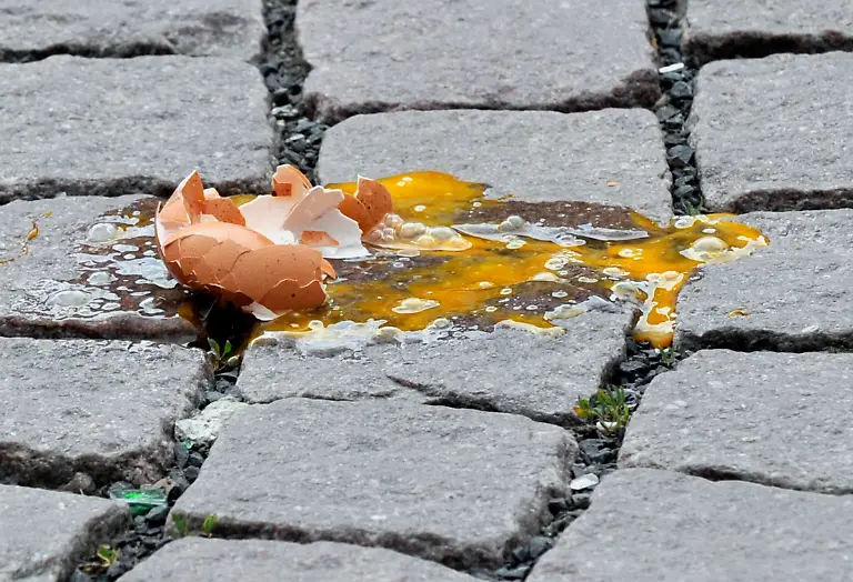 2xb22227-jpg2558000418331565124