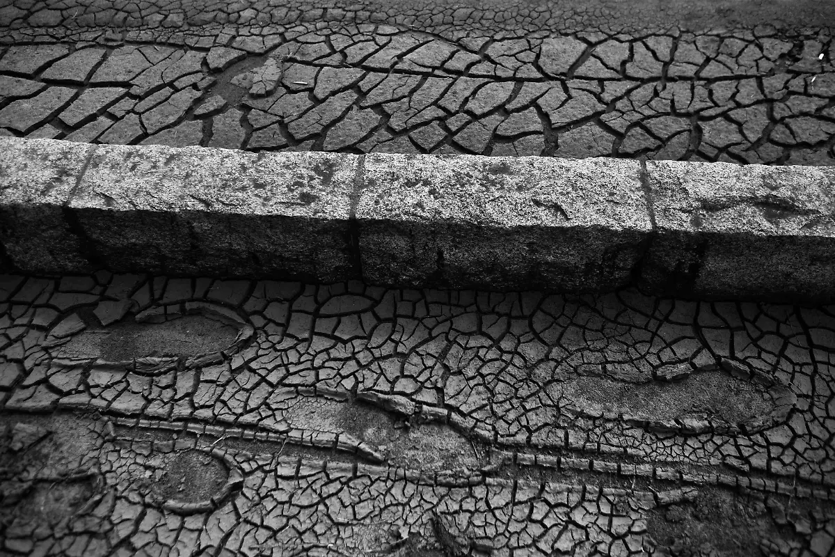 1302574489-jpg5632108726667102744