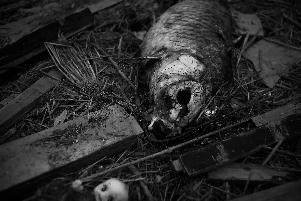 1302574588-jpg680447454690482925