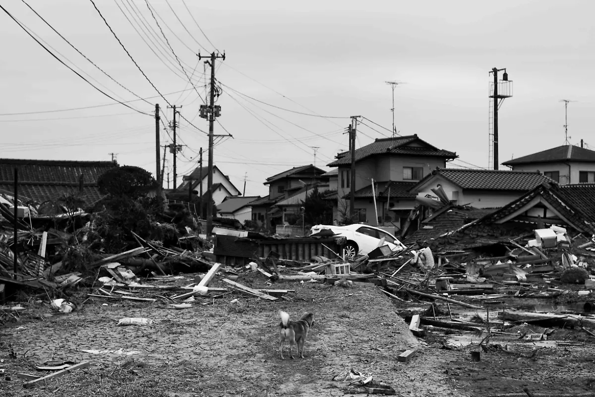 1302574605-jpg8893869734332083378