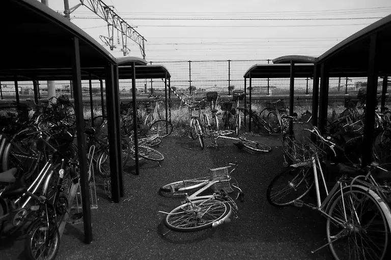 1302574646-jpg5837854355762181308