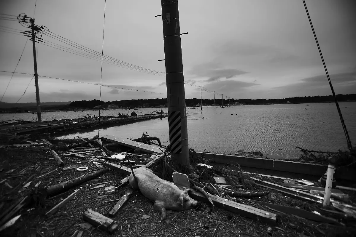 1302574683-jpg8487087343555233286