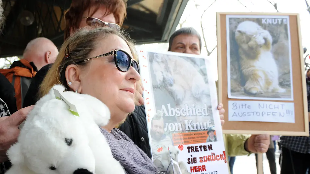 2x342426-jpg2043656254925389836