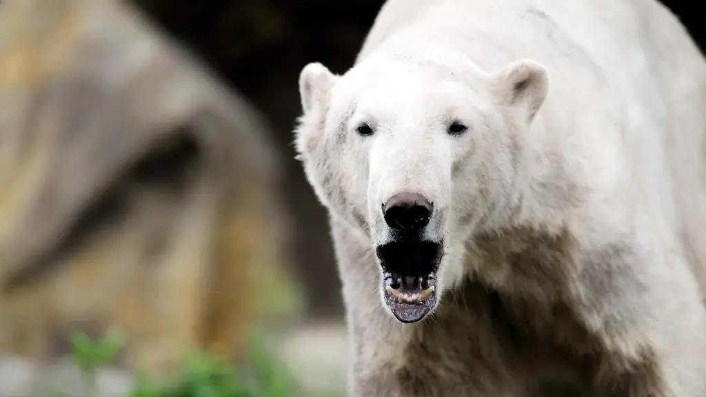 140709ERF515-140709ERF515-jpg4414551746424298666