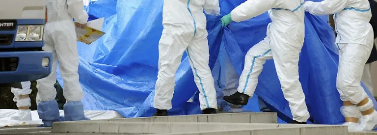 2wxp0227-jpg6204234594046105433