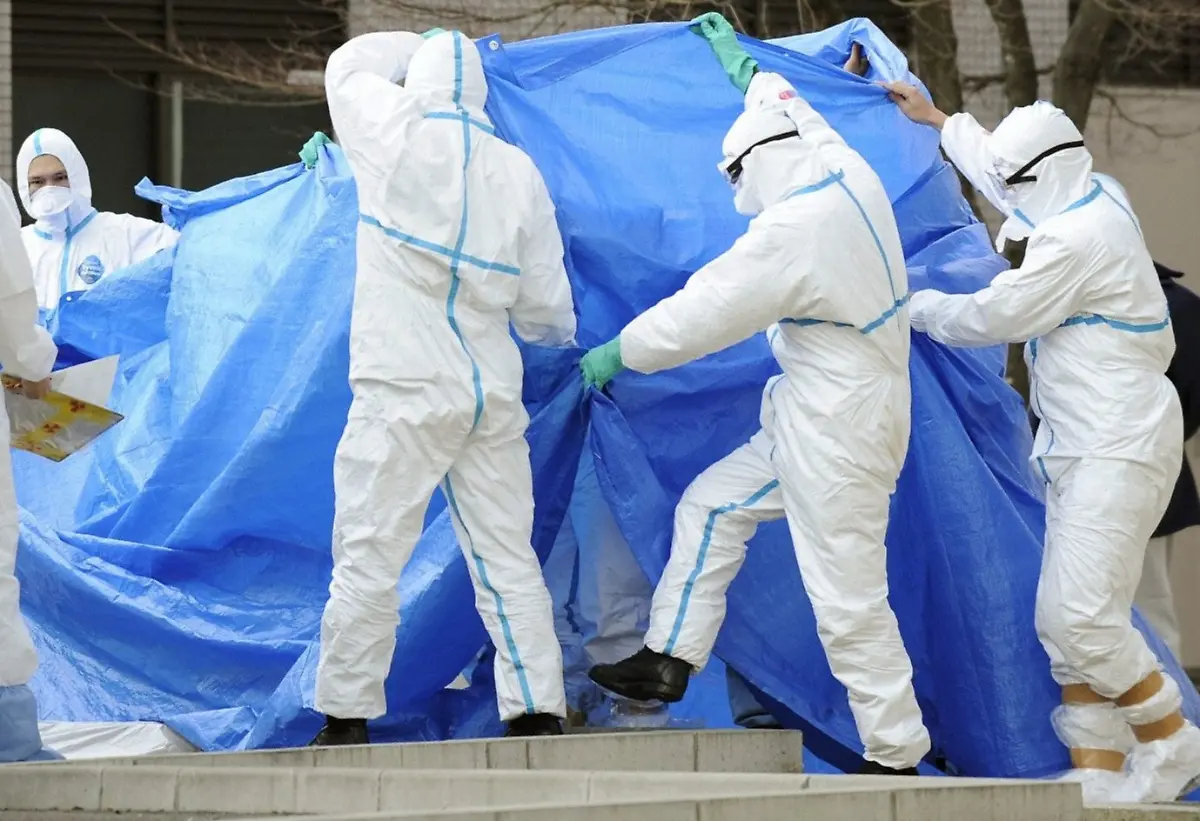 2wxp0547-jpg3047407791372630170