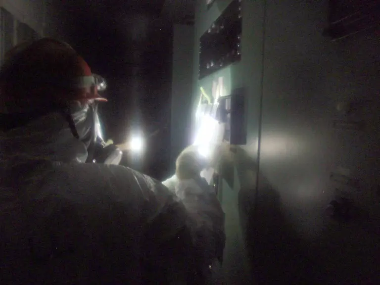 2www4721-jpg1974287258825271359