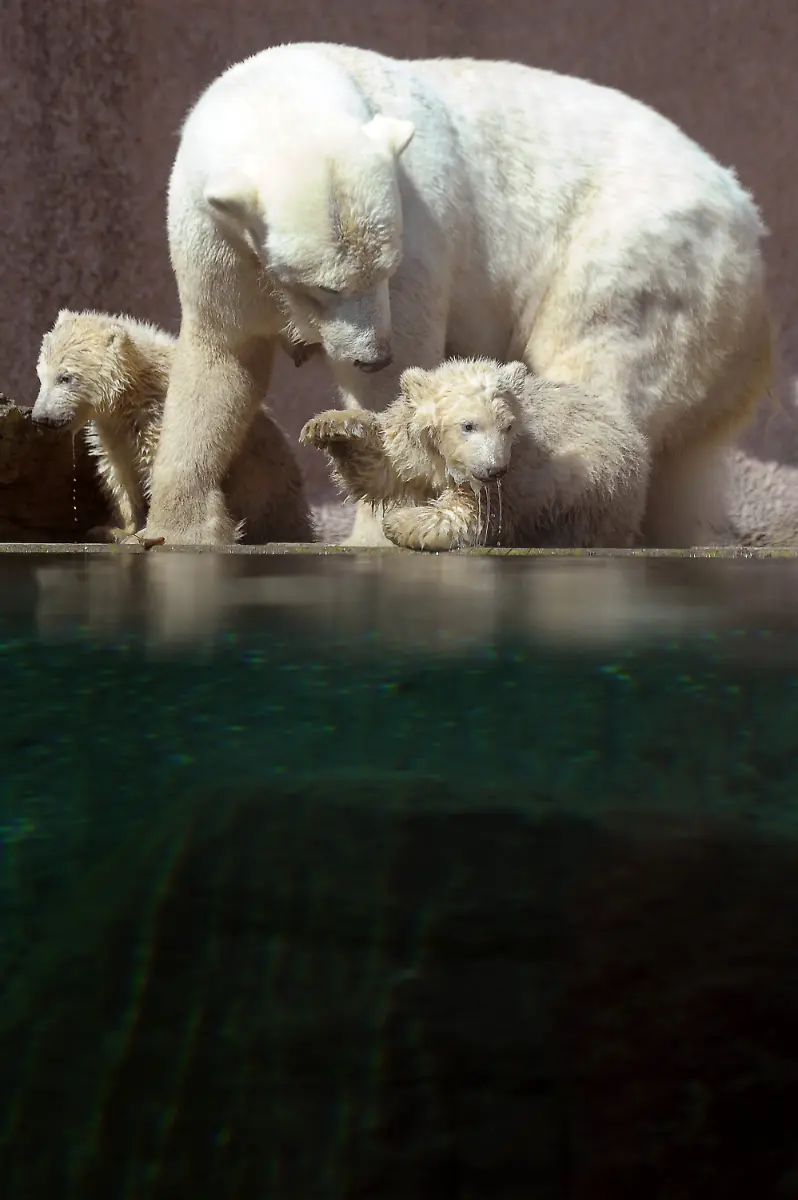 2wx11259-jpg2464868741958255561