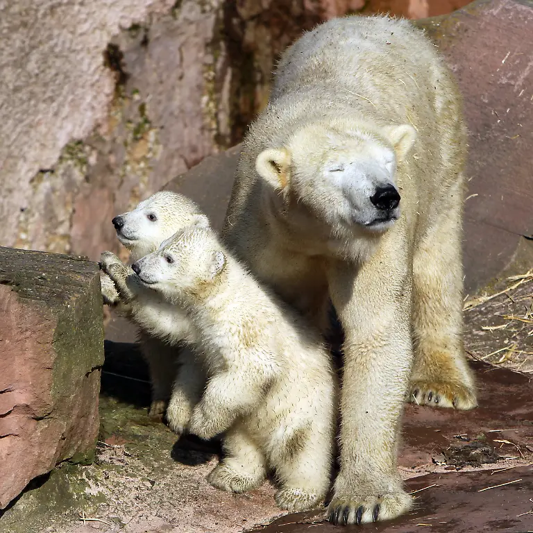 2wwb0103-jpg21954774922965636