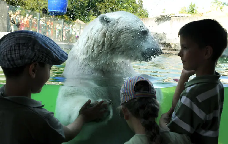 2wwt0113-jpg8640221126256806318