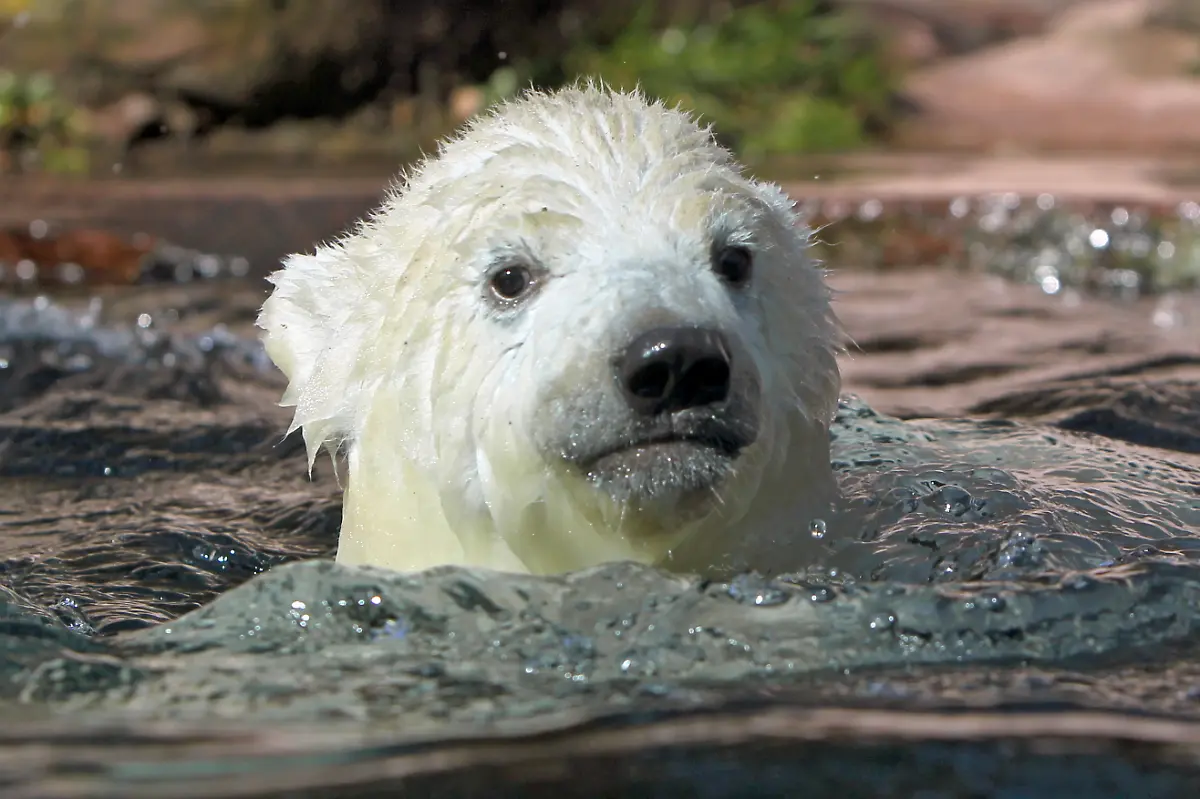 2wwf2541-jpg5147215297069395414