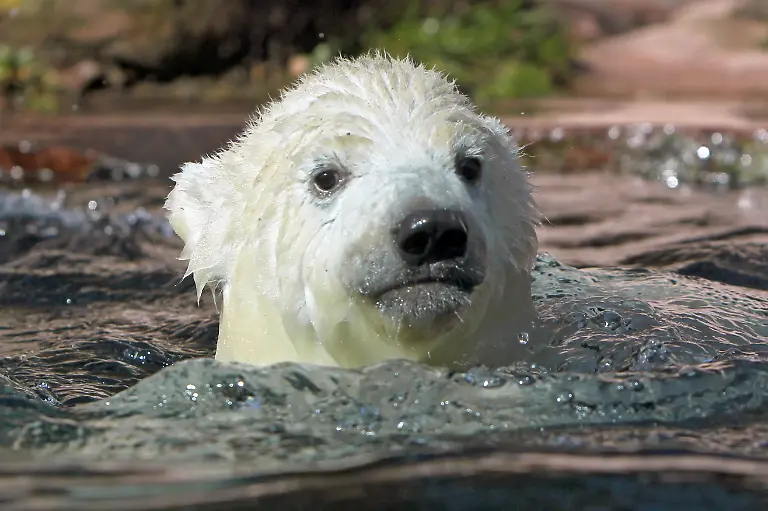 2wwf2541-jpg5147215297069395414