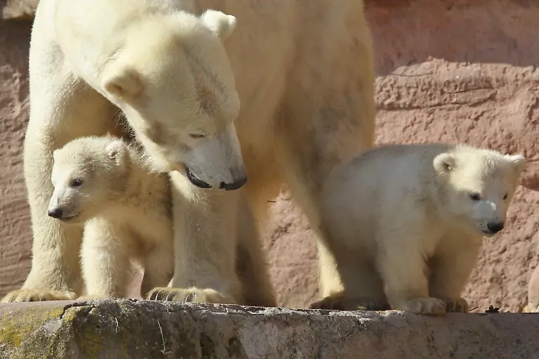 2wwf2728-jpg2165670143582539378