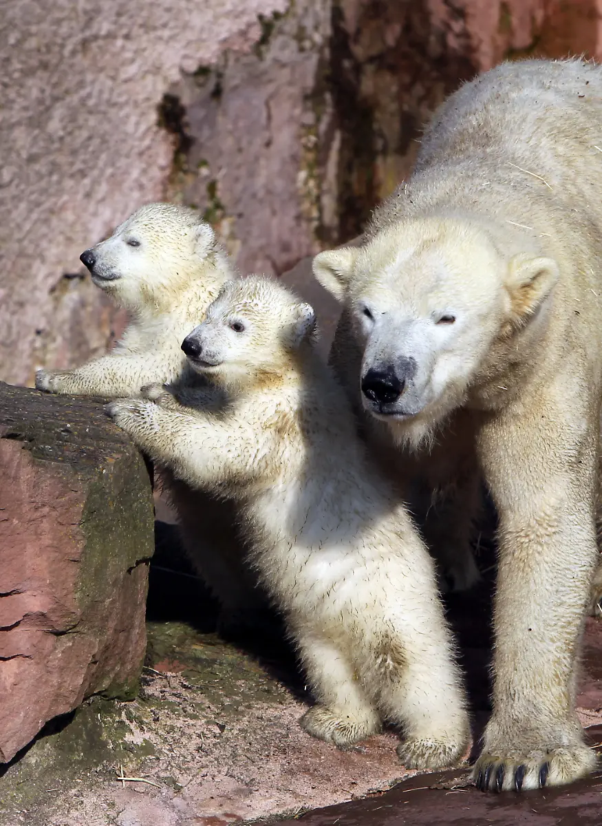 2wwb0139-jpg2056093571761037792