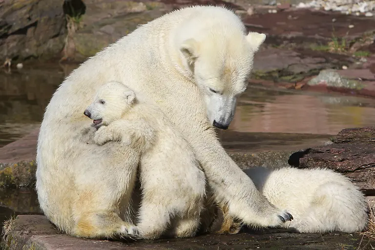 2wwc3057-jpg5861562204395477726