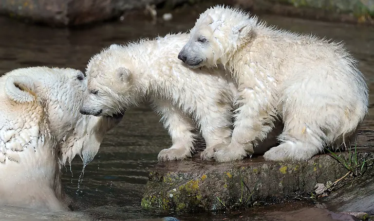 2wx11246-jpg7272538775739686353