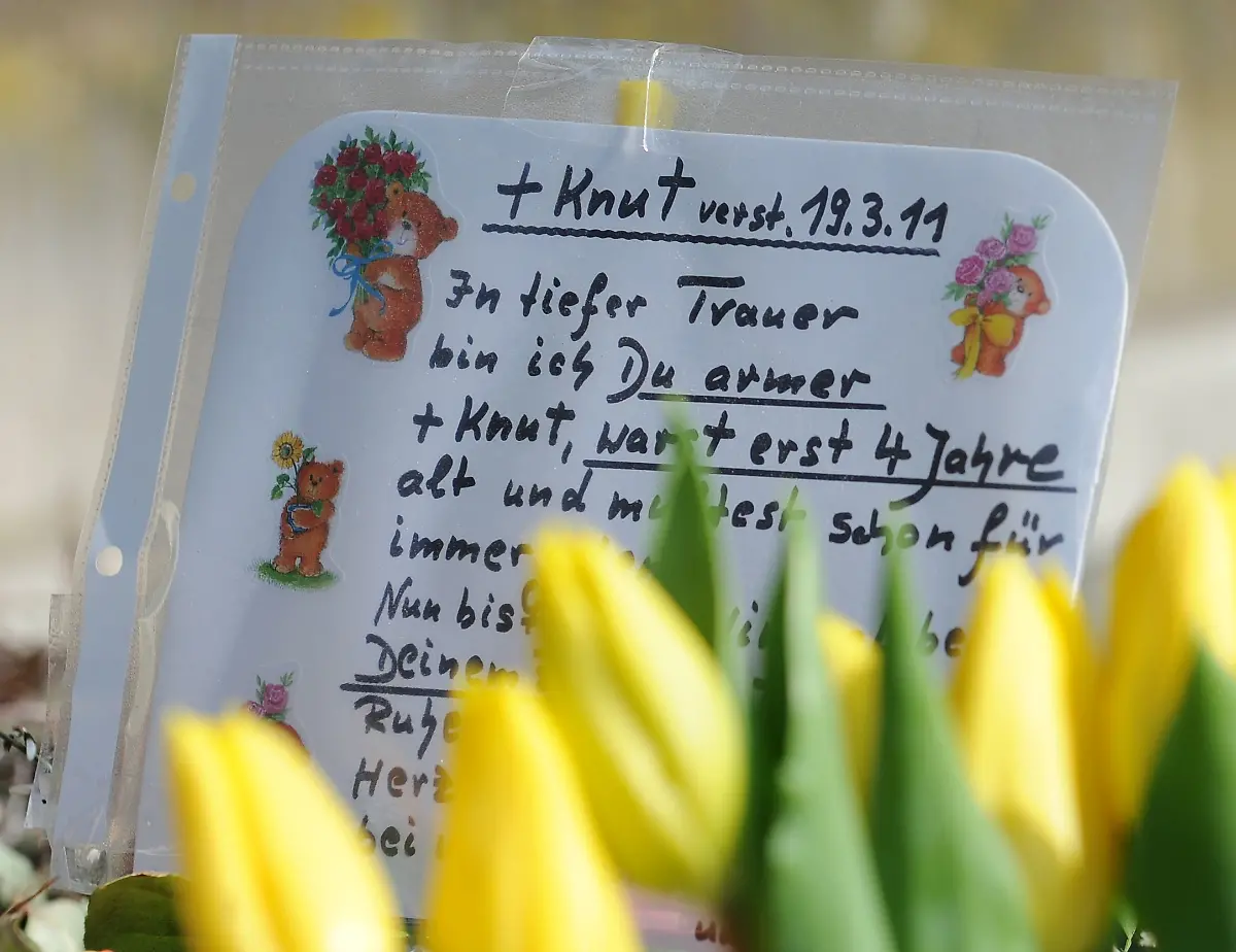 2wvr3231-jpg5375579500688321382