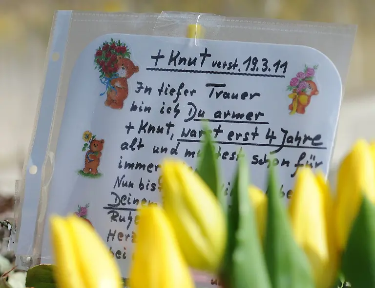 2wvr3231-jpg5375579500688321382