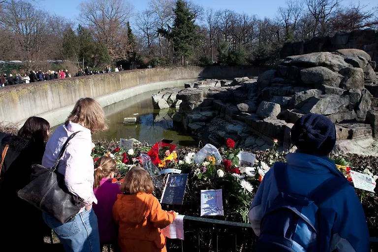 1300640169-jpg8044381959488654914