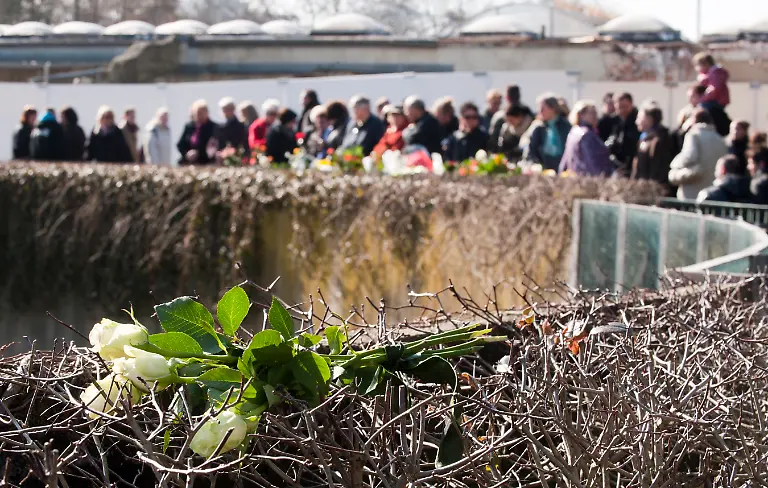 200311BER625-200311BER625-jpg7970530815538359559