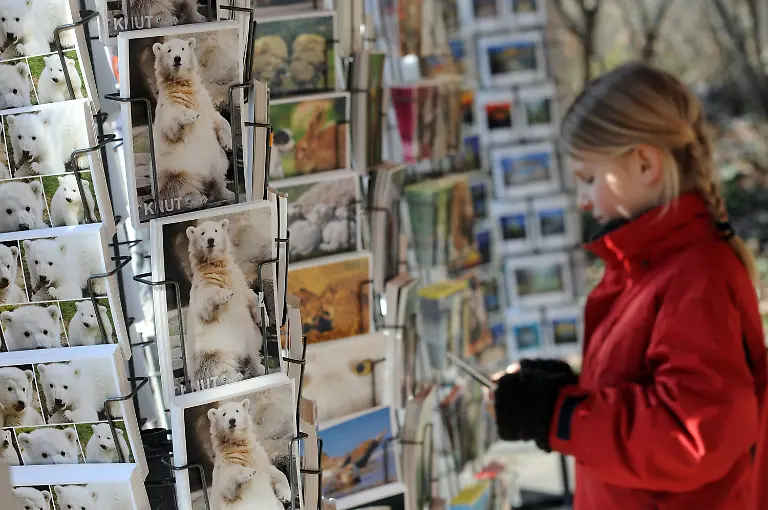 2wuf5154-jpg6840722798844391313