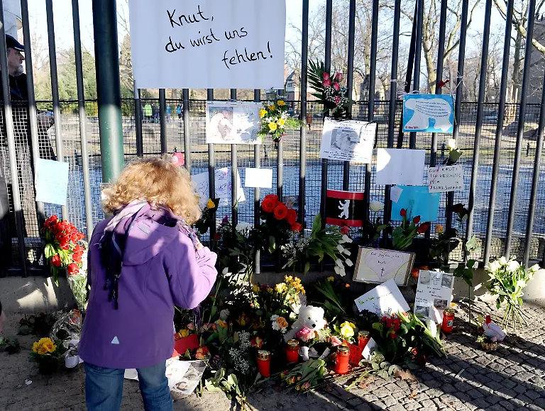 2wui0502-jpg6925765906029701124