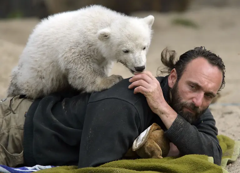 2wts2724-jpg7758024818962494673