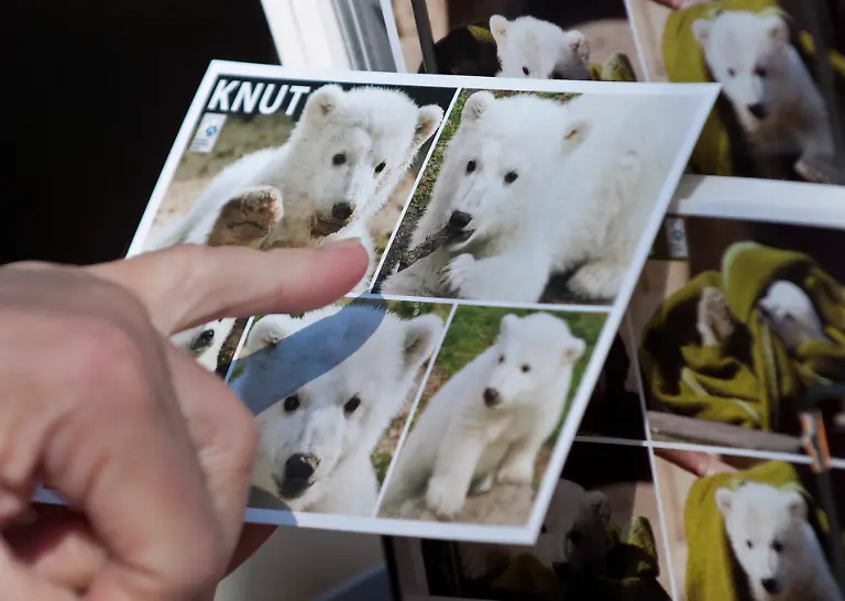 1300636086-jpg3065456448481149978