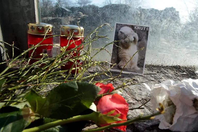 2011-03-20T162059Z-01-TOB21-RTRMDNP-3-GERMANY-KNUT-JPG7836633931567556020