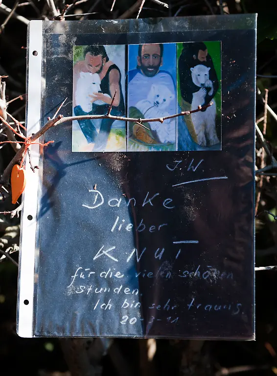 200311BER636-200311BER636-jpg7035028429070004880