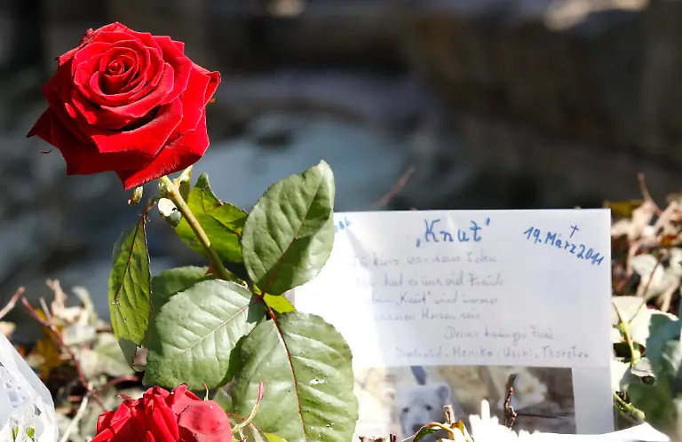 2011-03-20T163313Z-01-TOB25-RTRMDNP-3-GERMANY-JPG8926086321543294097