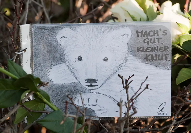 1300639634-jpg6656103209780921288