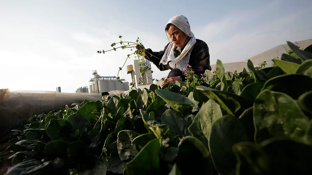 1300609372-jpg3210209067415312415