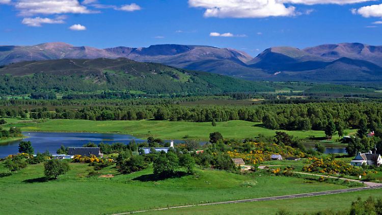 Die Cairngorm Mountains: sattgrüne Täler vor rauem Bergpanorama.