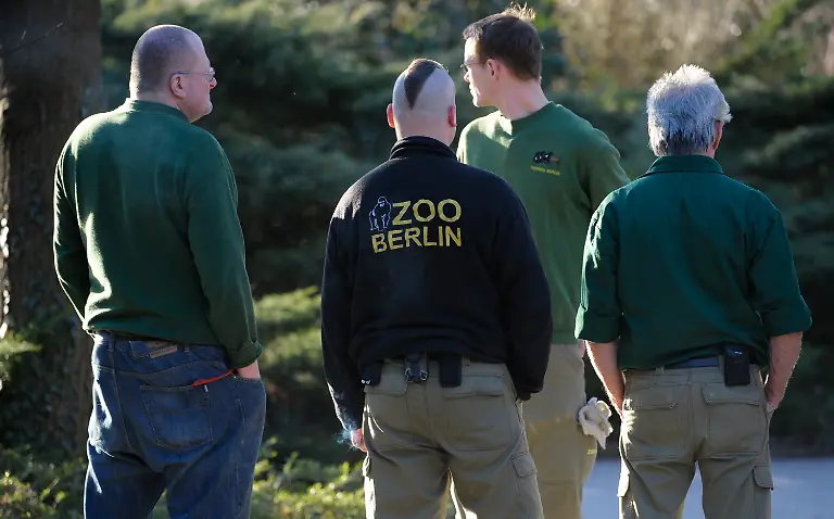 190311BER233-190311BER233-jpg7345526624194664700