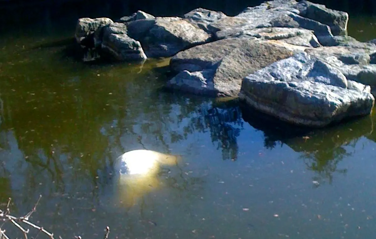 1300552548-jpg5355013516623119802