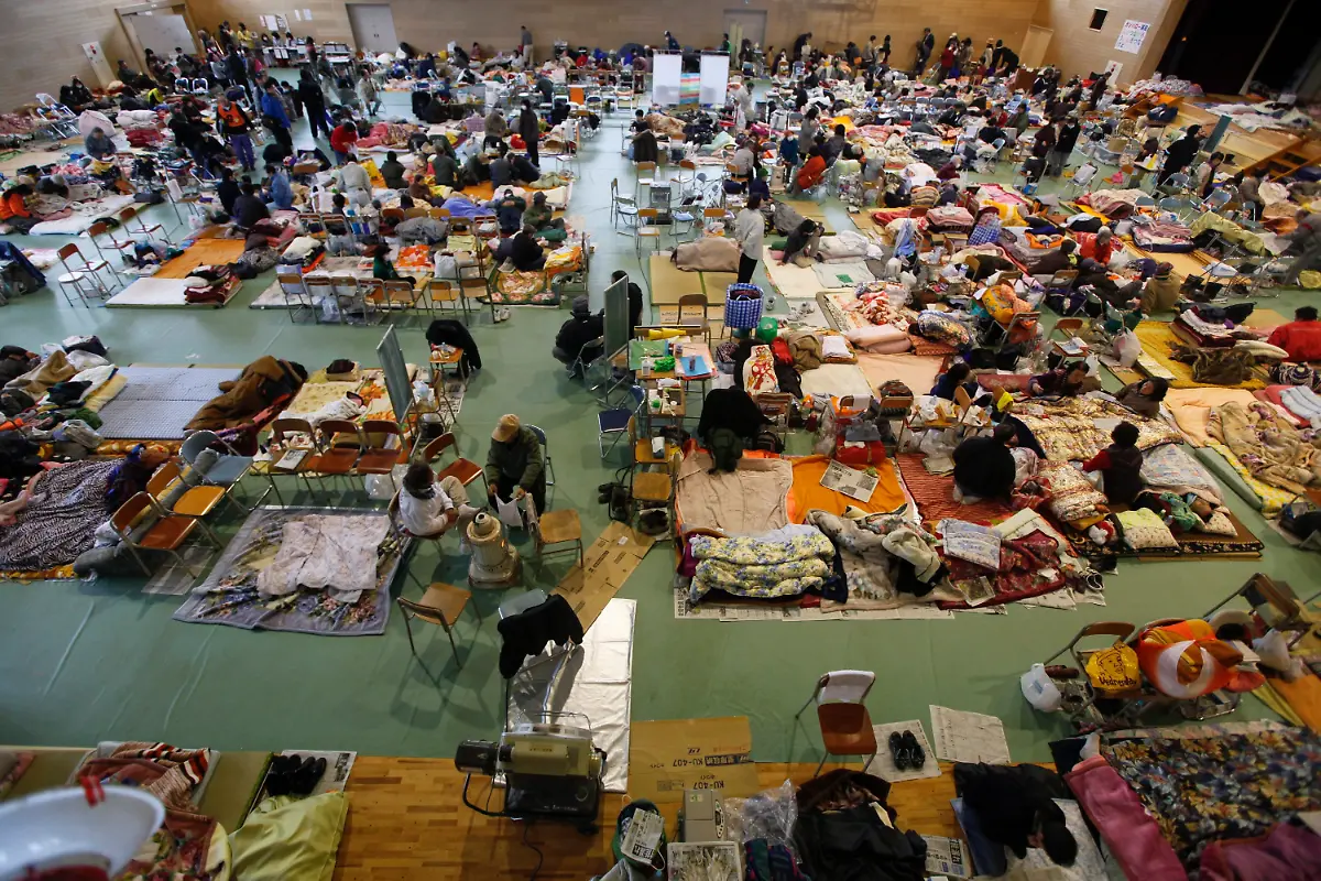 2wrp2636-jpg8543856667534404486