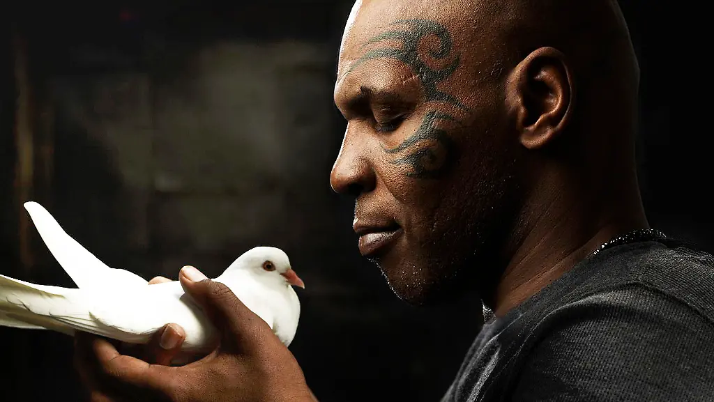 2011-03-03T135421Z-01-hfsLAB02-RTRMDNP-3-TELEVISION-MIKETYSON-JPG3654072706742241378