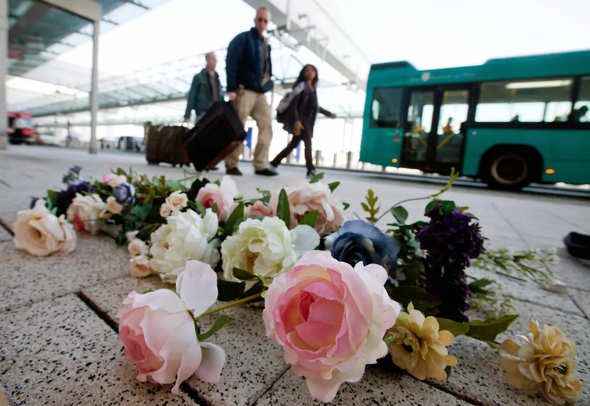 2wiz2017-jpg2630353980439898354