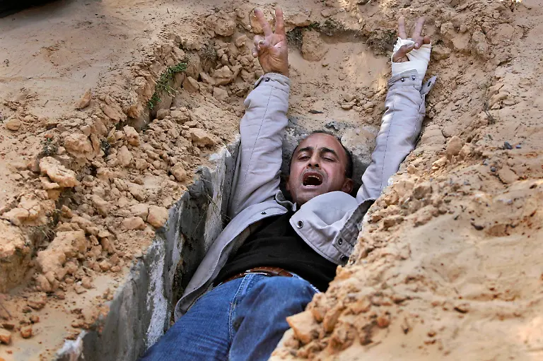 1298827601-jpg3017659009034555443