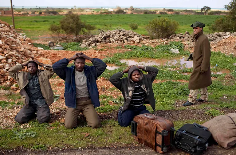 1298833216-jpg5201194541579368897