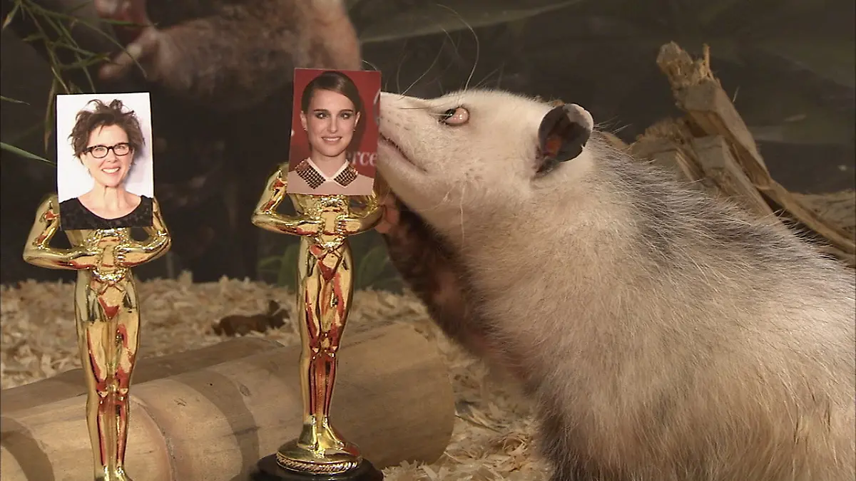 2wbz2638-jpg5461512648986848880