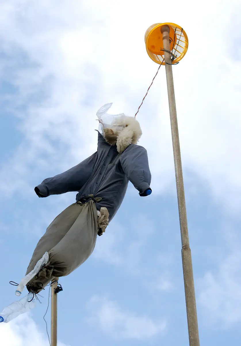 1298290009-jpg8600086774443988902