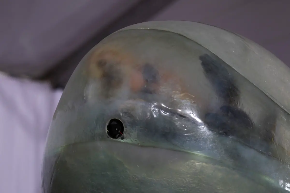 2011-02-13T222620Z-01-LOA26-RTRMDNP-3-GRAMMYS-JPG7905559257947135737