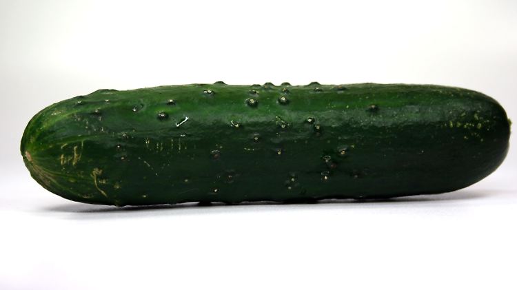 Endlich Freiheit für die Gurke. Die Zeit der Diskriminierung ist vorbei.