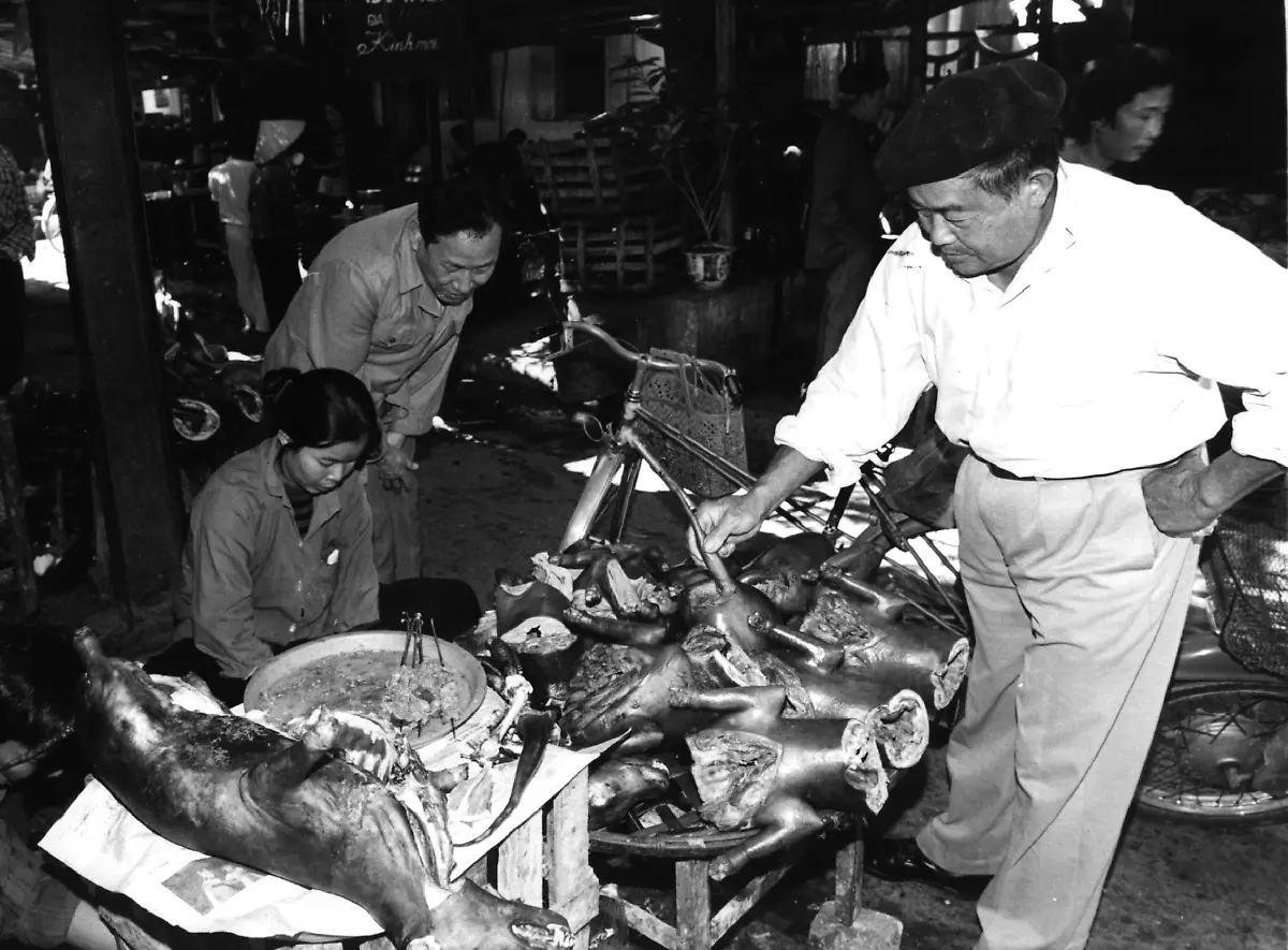 Hund-Erlaeuterung-lesen