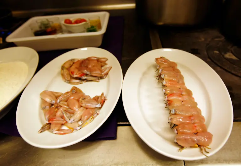 Frsochschenkel-Erlaeuterung-lesen